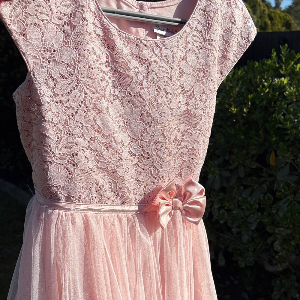 Jona Michelle Girl’s Pink Party Dress - Size 12 - Picture 12 of 16